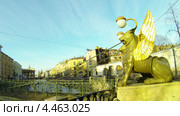 Банковский мост в Санкт-Петербурге. Грифоны (2013 год). Стоковое видео, видеограф Михаил / Фотобанк Лори