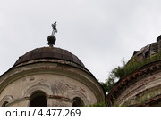Ворон на покосившемся кресте разрушенного православного храма. Стоковое фото, фотограф Юрий Туркин / Фотобанк Лори