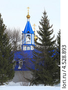 Православная церковь в гуще елей. Город Ялуторовск (2013 год). Стоковое фото, фотограф Анатолий Матвейчук / Фотобанк Лори