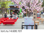 Места для отдыха под цветущей сакурой. Senso-ji shrine, Asakusa, Токио. Япония (2013 год). Редакционное фото, фотограф Кекяляйнен Андрей / Фотобанк Лори