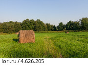 Летний пейзаж рулонами сена в средней полосе России. Стоковое фото, фотограф Горшков Игорь / Фотобанк Лори