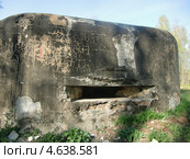 Ленинградская область. Белоостров. ДОТ КаУР (2011 год). Стоковое фото, фотограф Евгений Клеменков / Фотобанк Лори