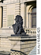 Кёнигсбергский лев. Калининград (до 1946 года Кёнигсберг), Россия (2013 год). Стоковое фото, фотограф Сергей Трофименко / Фотобанк Лори