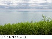 Трава на фоне моря (2013 год). Стоковое фото, фотограф Виль Равилов / Фотобанк Лори