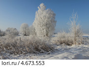 Изморозь. Стоковое фото, фотограф Виктор Зандер / Фотобанк Лори