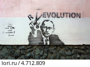 Граффити Путин - Revolution -Evolution (2013 год). Редакционное фото, фотограф Алексей Гусев / Фотобанк Лори