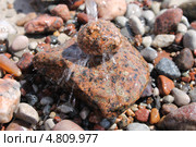 Вода падает сверху на камешки. Стоковое фото, фотограф Наташа Антонова / Фотобанк Лори