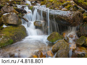 Ручей в горах Тебердинского заповедника. Стоковое фото, фотограф Алексей Бок / Фотобанк Лори