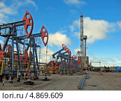 Работа нефтяных качалок на нефтяном месторождении. Стоковое фото, фотограф Георгий Shpade / Фотобанк Лори