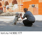 Лабрадор подает лапу, выступление на праздновании дня города, Липецк (2013 год). Редакционное фото, фотограф Анна Мишина / Фотобанк Лори