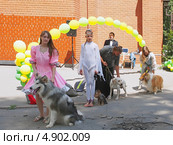 Выступление дрессированных собак на дне празднования города, Липецк (2013 год). Редакционное фото, фотограф Анна Мишина / Фотобанк Лори