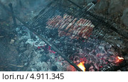 Приготовление мяса на решетке на углях костра. Стоковое видео, видеограф Кекяляйнен Андрей / Фотобанк Лори