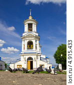Покровский кафедральный собор, город Воронеж (2013 год). Стоковое фото, фотограф Вячеслав Палес / Фотобанк Лори