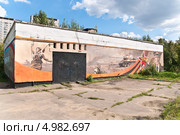 Граффити на ЦТП (2013 год). Редакционное фото, фотограф Алёшина Оксана / Фотобанк Лори