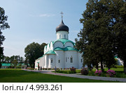 Свято-Успенский женский монастырь (Александровская слобода), Александров (2013 год). Стоковое фото, фотограф Александр Fanfo / Фотобанк Лори