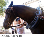 Конюхи и экипажи. Варшава. Старе Място (Stare Miasto) (2013 год). Редакционное фото, фотограф Виктор Филиппович Погонцев / Фотобанк Лори