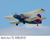 Самолет Ан-2-100 (бортовой UR-EXB) в полете (2013 год). Редакционное фото, фотограф Alexei Tavix / Фотобанк Лори