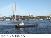 В порту Владивостока. Самоходный плашкоут на фоне Золотого моста (2012 год). Редакционное фото, фотограф Валерий Акулич / Фотобанк Лори