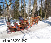 Павловск. Лошадь, запряженная в сани, идет по аллее парка (2013 год). Редакционное фото, фотограф Ирина Борсученко / Фотобанк Лори