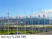 Олимпийский парк Сочи (2013 год). Редакционное фото, фотограф Анна Мартынова / Фотобанк Лори