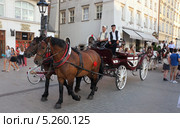 Конный экипаж с туристами. Краков. (2013 год). Редакционное фото, фотограф Виктор Филиппович Погонцев / Фотобанк Лори