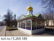 Памятный крест и часовня на месте захоронения прп. Серафима Саровского, город Саров Нижегородской области (2013 год). Стоковое фото, фотограф Igor Lijashkov / Фотобанк Лори