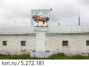 Племенной конный завод "Гаврилово-Посадский", Ивановская область (2013 год). Редакционное фото, фотограф Дмитрий Неумоин / Фотобанк Лори