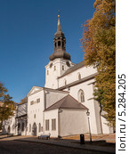 Эстония. Таллин. Домский собор. (2013 год). Стоковое фото, фотограф Брагин Алексей Георгиевич / Фотобанк Лори