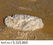 Друза кристаллов соли Мертвого моря. Израиль (2012 год). Стоковое фото, фотограф Ирина Борсученко / Фотобанк Лори