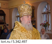 Церковь, христианство. Митрополит Днепропетровский и Павлоградский Ириней (2013 год). Редакционное фото, фотограф Несинов Олег / Фотобанк Лори