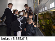 Дети с педагогом, экскурсоводом в аквацентре (2013 год). Редакционное фото, фотограф Ольга Логачева / Фотобанк Лори