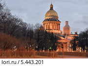 Санкт-Петербург. Вид на Исаакиевский собор (2013 год). Стоковое фото, фотограф Александр Алексеев / Фотобанк Лори