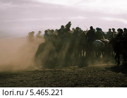 Кокпар (козлодрание) -  конная игра в Казахстане (2013 год). Стоковое фото, фотограф Валерий Тырин / Фотобанк Лори