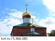 Купола сельской новодельной церкви. Стоковое фото, фотограф Анатолий Матвейчук / Фотобанк Лори