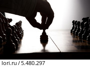 Рука переставляет шахматную фигуру. Стоковое фото, фотограф Александр Калугин / Фотобанк Лори
