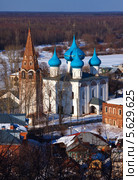 Гороховец в зимний период (2012 год). Стоковое фото, фотограф Яков Филимонов / Фотобанк Лори