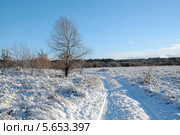 Зимняя колея. Стоковое фото, фотограф Александр Тараканов / Фотобанк Лори