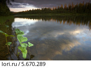 Печора на закате (2012 год). Редакционное фото, фотограф Егор Никифоров / Фотобанк Лори