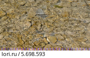 Чистый горный поток воды на мелководье, яркие солнечные зайчики в горной реке. Стоковое видео, видеограф Анна Мартынова / Фотобанк Лори