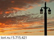 Петербург. Силуэт фонаря Благовещенского моста (2009 год). Стоковое фото, фотограф Александр Алексеев / Фотобанк Лори