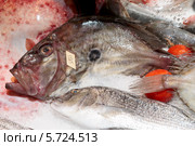 Рыба-солнечник (John Dory) на прилавке уличного рыбного рынка в Стамбуле, Турция. Стоковое фото, фотограф Федор Кондратенко / Фотобанк Лори