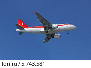 Самолет Turkish Government Airbus A319-115X(CJ) заходит на посадку (бортовой номер TC-ANA) (2014 год). Редакционное фото, фотограф Алексей Гусев / Фотобанк Лори