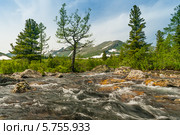 Горная река в Кузнецком Алатау. Стоковое фото, фотограф Beerkoff / Фотобанк Лори