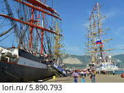 Российские парусники "Надежда" и "Седов", участники международной парусной регаты SCF Black Sea Tall Ships Regatta 2014 в порту Новороссийск. Редакционное фото, фотограф Игорь Архипов / Фотобанк Лори