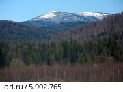 Заснеженные вершины хребта Кузнецкий Алатау. Стоковое фото, фотограф Ольга Остроухова / Фотобанк Лори