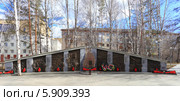 Помня об погибших в Афгане (2014 год). Редакционное фото, фотограф Анатолий Матвейчук / Фотобанк Лори