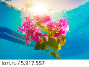 Букет розовых цветов под водой. Стоковое фото, фотограф Владимир Сурков / Фотобанк Лори