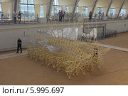Экспонат выставки «Кинетическая жизнь песчаных пляжей», Москва (2014 год). Редакционное фото, фотограф Алексей Гусев / Фотобанк Лори