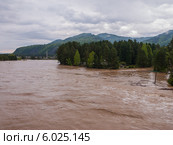Наводнение в Хакасии. Река Абакан  в районе города Абазы. Вода залила жилое строение в лесном массиве. Стоковое фото, фотограф Александр Каргаполов / Фотобанк Лори