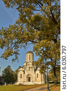 Спасский собор (2005 год). Редакционное фото, фотограф Александр Смаков / Фотобанк Лори